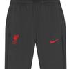 Nike Liverpool Fc Sweatshirt Long Pants Dri Fit Strike Third Pants