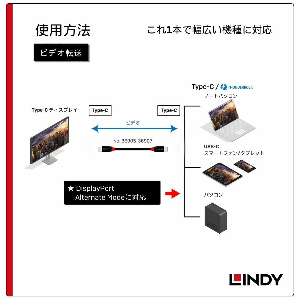 Lindy 0.5m Black Line USB 3.2 Gen 2x2 Type-C Cable 36905