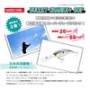 DUEL HARDCORE Hardcore Bullet Crank 80F Воблер Пресноводный 80мм Blue Sexy Shad 5+ [Рыболовные снасти, Окунь] R1421-BSSH 03
