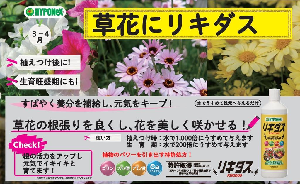 Hyponex Japan Liquidus Energizer 800ml