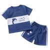 Children Short Sleeve + Shorts 2 Pieces Sets Summer Kids Clothes Boy Girl Baby Thin Cotton Tee Tracksuits Outfits
