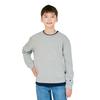 Champion Свитшот детский с длинным рукавом и круглым вырезом, с вышитым базовым дизайном, 100% хлопок, США, Логотип, (CK-Y001-070-150)