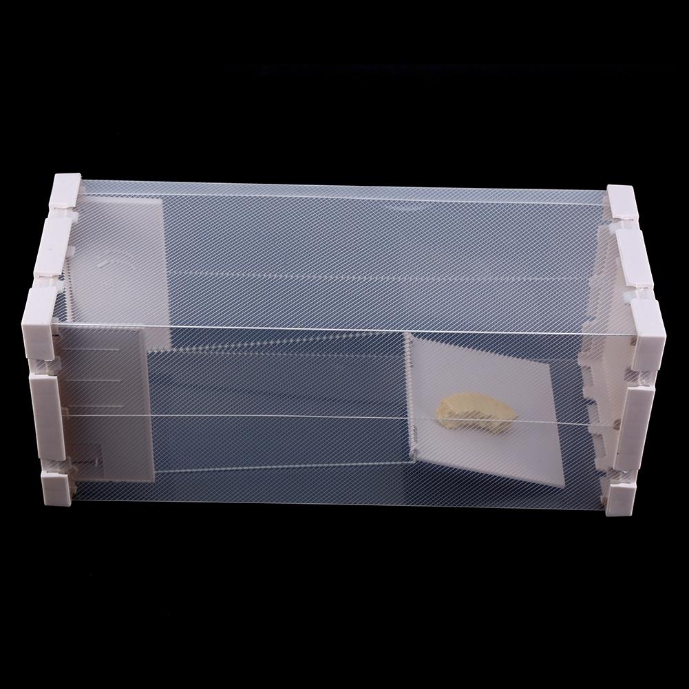 Гуманная крысоловка Клетка Живые животные Вредители Грызуны Мыши Борьба с мышами Приманка Поймать