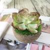 1Pc Plastic Fake Artificial Succulents Plant Bonsai Garden Home Office Decor