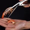 1 Pcs Stainless Steel Shrimp Peeler Portable Shrimp Removal Clip Home Kitchen Tool Lobster Sheller Shrimps Back Opening Tools