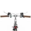 OT02PRO, red/green, 250W motor power, 36V, 5.2AH detachable battery, 20*1.35 inch tires, city road electric bicycle, maximum speed 25KM/H