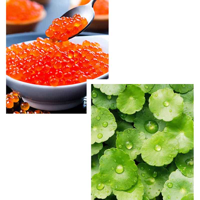 VENZEN Niacinamide Cosmetic Kit Pore Shrinking Moisturizing Facial Skin Care Set