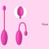 Wireless Remote Control Vaginal Balls Vibrating Egg Wearable Panties Jumping Egg Clitoris G-Spot Stimulation Sex Toys for Women