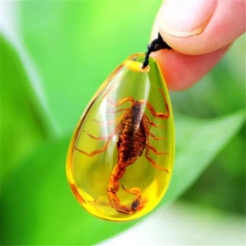 Pendant Inclusion Scorpions Necklace Charms Home Decorative Stone Travel Gift Resin Handmake Jewelry Amber Natural Insects