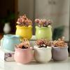 6Pcs Mini Ceramic Succulent Flowerpots Home Garden Decoration Colorful Bonsai Flowerpot Plant Growth Container