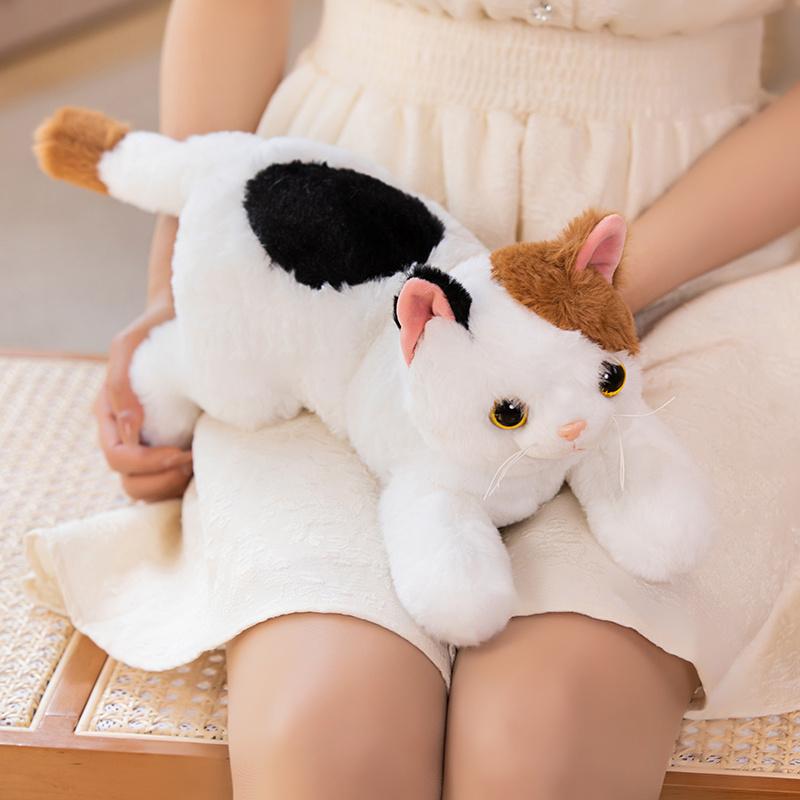 45 см милый кот, плюшевая игрушка, прекрасный чучело, высокое качество, имитация кота, плюшевые игрушки, белый, серый кот, кукла, подарки на день рождения, для девочек