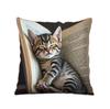 1pcs Cute Cats Zipper Closure Short Plush Material Pillowcase, Suitable for Car, Farmhouse, Bedroom, Living Room Sofa Pillow Cover