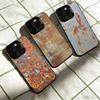 Ретро-индустриальный стиль Ржавый чехол для телефона iPhone 17,16,15,14,13,12,11 Plus,Pro Max,XS,Красочный серебристый чехол Funda Cover