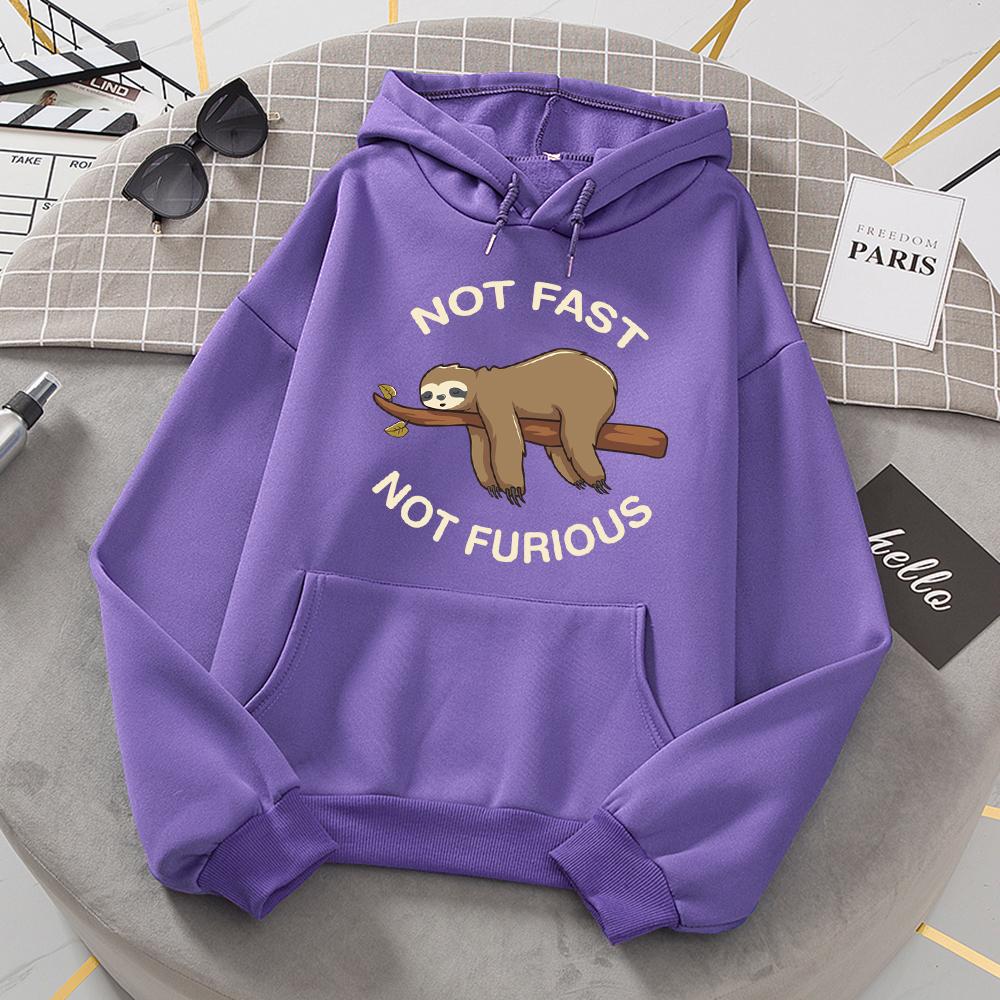 Not Fast Not Furious Sloth Sleeps Hanging From Branches Hoodies Women Novelty Fashion Hoody Loose Basic Hoodie Casual Warm Tops