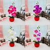 Phalaenopsis Artificial Decor With Highquality Materials For Gift And Use Event