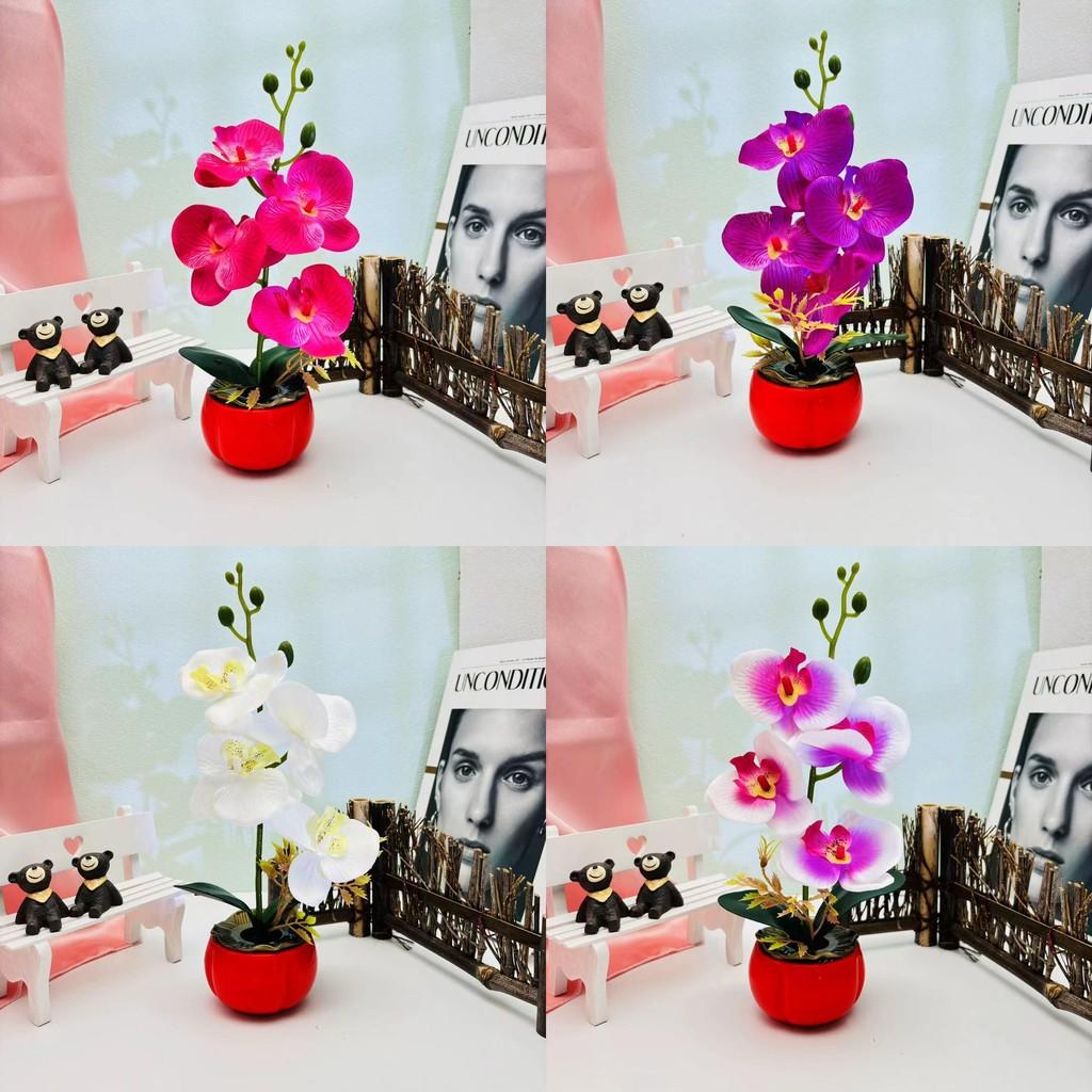 Artificial Decor Phalaenopsis With Highquality Materials For Gift And Use Event