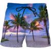 Men Shorts Summer 3D Printed Casual Ordinary Youth Beach Short Pants Spring Little Stretch Short Trousers