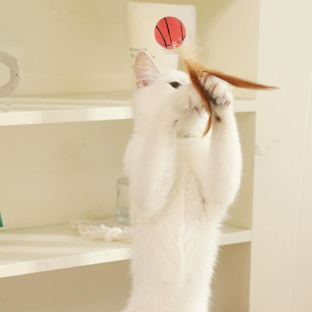 Cat Feather Ball Toys,Interactive Cat Toys For Indoor Cats,Bouncy Balls Toys For Cat,Basketball Soccer Toys For Exercise,Catnip Ball Toys,3pc