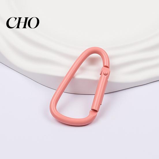 Spring Buckle Carabiner 2Pcs Lightweight Alloy Keychain Clip Easy One-Handed D-Shaped Hook Outdoor Travel Bag Pendant DIY Jewelry Accessory