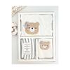 New Season Baby Girl 5-piece Hospital Discharge Set With Teddy Bear Newborn Outfit Set