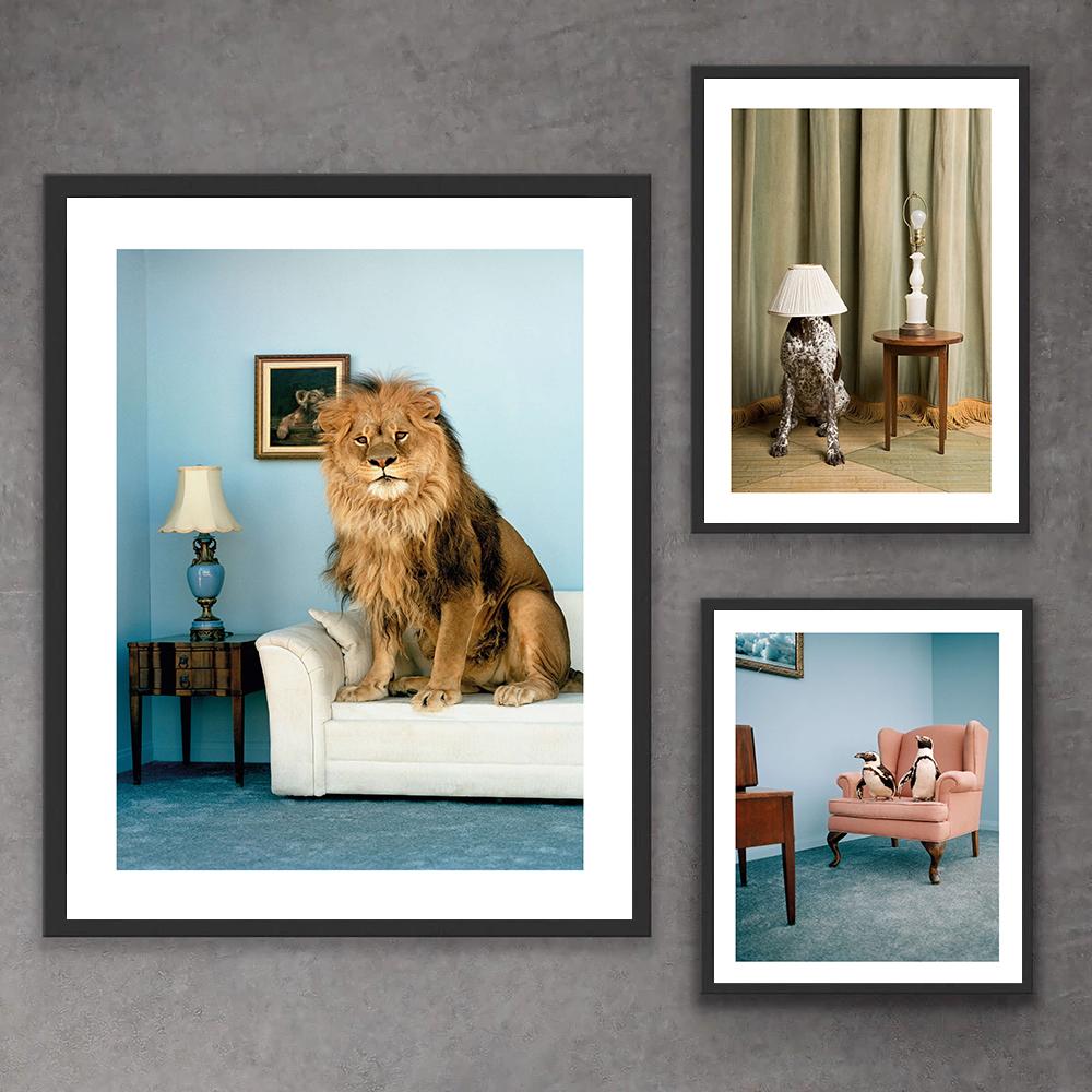 Cozy Lion Poster Hide and Seek Print The Penguin Show Canvas Painting Modern Vintage Animal Wall Art Pictures Kids Home Decor