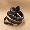 [Rockyu] Ring Men's Free Size Black Snake Snake Snake Ring Finishing Titanium Ring Amulet Good Luck Amulet Ring Cool Snake Shape Free Fashion