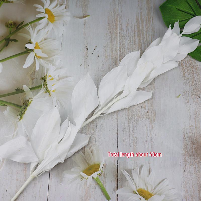 DIY Floral Art Ornament: Preserved Tangerine & Fishtail Leaf, Lily, Bamboo Dried Flowers – Ikebana Photo Prop for Home Décor.