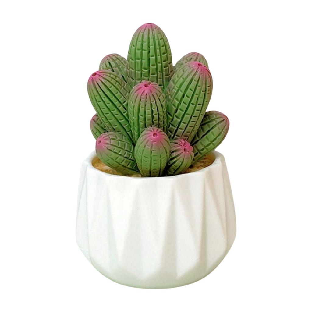 Mini Artificial Cactus and Bonsais Figure Resins Succulent Faux Potted Plant Figurine for Home and Office Desktop Decors