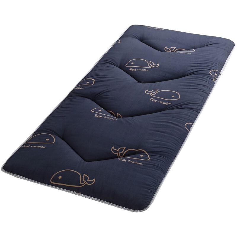 Thickened Student Dormitory Mattress