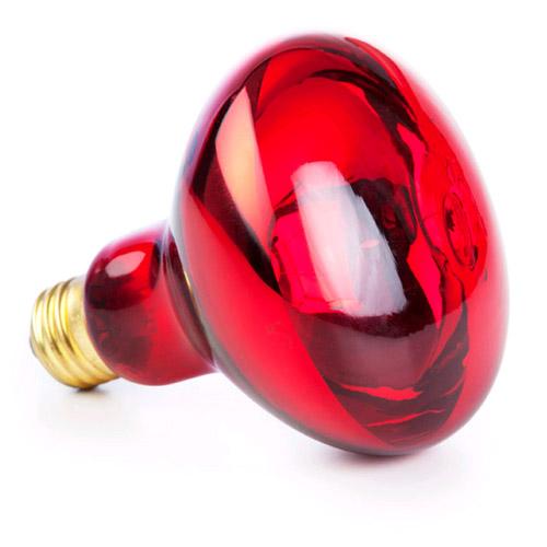 Infra Lamp