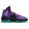 Nike Мужские кроссовки LeBron 19 EP Purple Teal Pink Black DC9340-500