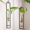 Thickened Hanging Glass Planter Wall Hanging Glass Vase Creative Test Tube Vases  Home Decoration