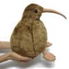 Realistic Kiwi Plush Fluffy 30cm Cute Educational New Ages 6 and Up Toy, Animal, Long, Toy, Christmas, Birthday, Year's Gift,