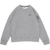 Толстовка мужская флисовая с капюшоном Therma-Fit Solid Crew Neck Pocket серая FB8506-063