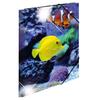 Herma Elasticated Glossy PP Folder A3 Animals (Fish)