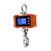 Hanging Scale Digital Crane Kg/lb Fish Weighting Luggage for Industrial