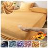 Soft Warm Plush Fitted Sheet Elastic Mattress Cover Winter Warm Plush Mattress Protective Cover Winter Double Bed Bedding Bedcover Only a Sheet