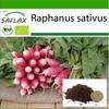 Органический - Редис - Французский завтрак - 150 семян - С горшечным субстратом для лучшего выращивания - Raphanus sativus