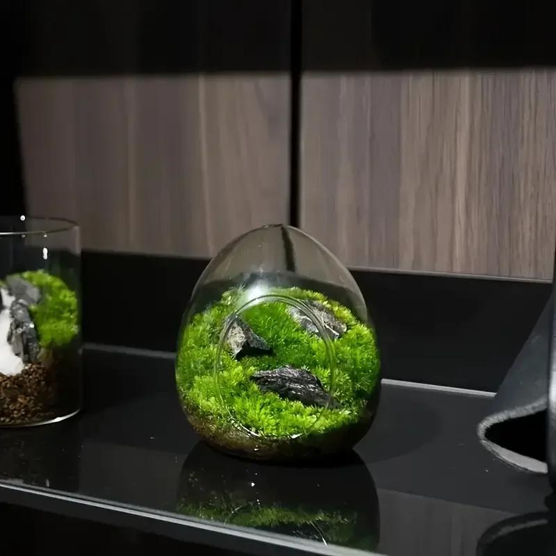 1PC Hydroponic Fleshy Micro Landscape Glass TerrariumCreative Egg-shaped Glass Bottles Succulent Glass Vase Moss Home Decoration
