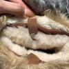 Women's Large Size Fur Mouth Thick Sole Soft Sole Winter Warm Fur Snow Boots Padded Lined Ankle Boots Non-Slip Hiking Sports Cotton Boots