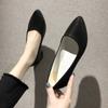 French Pointy High Heels Women Spring and Autumn New Professional Shoes with Fine Heel Design Sense of Niche Temperament