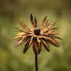 Rust-Resistant Flower Garden Stake Vintage Iron Flower Decoration Metal Cornflower Stake  Lawn