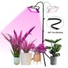Grow Light Stand Height Adjustable 1.6m Easy To Assemble Plant Grow Light Stand with Flexible Hose