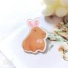 New Capybara Acrylic Badge Animals Cute Bag Pin Fashion Capybara Brooch