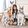Husky Plush Toy Dog Doll Simulation Puppy Erha Little Doll Doll Girl Birthday Gift Female
