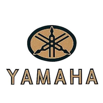Эмблема на бак старого гонщика, 1 комплект (2 эмблемы) Q5K-YSG-001-019