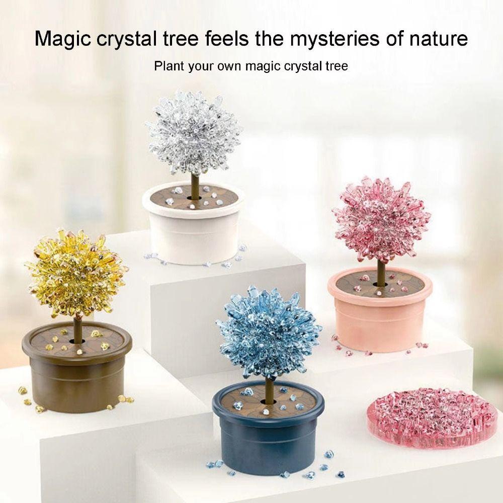 Grow a Crystal Crystal Trees Growing Kit Colored Crystals Crystal Making Kit  Kids