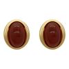 Vintage French Style Acrylic Oval Dangle Earrings for Women