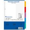 Maruman Index A5 20-Hole (2-Hole Compatible) Index Sheets, 5 Tabs, 1 Set of 10, LT6005