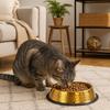 Stainless Steel Pet Feeding Bowl Gold Plated Cat Food Dish Anti-fall Dog Food Basin  for Feeding